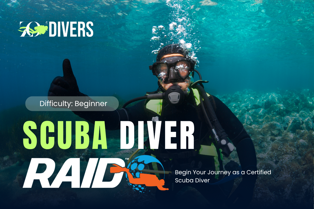 Scuba Diver (Certification)