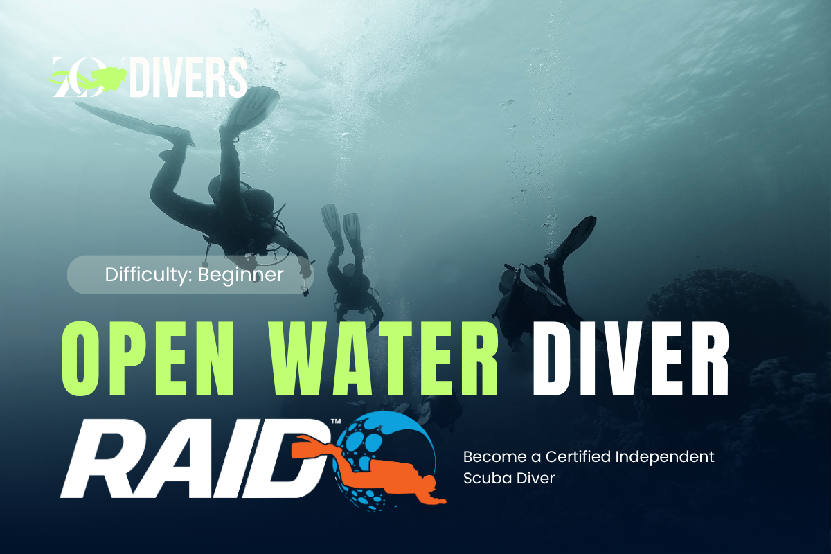Open Water Diver
