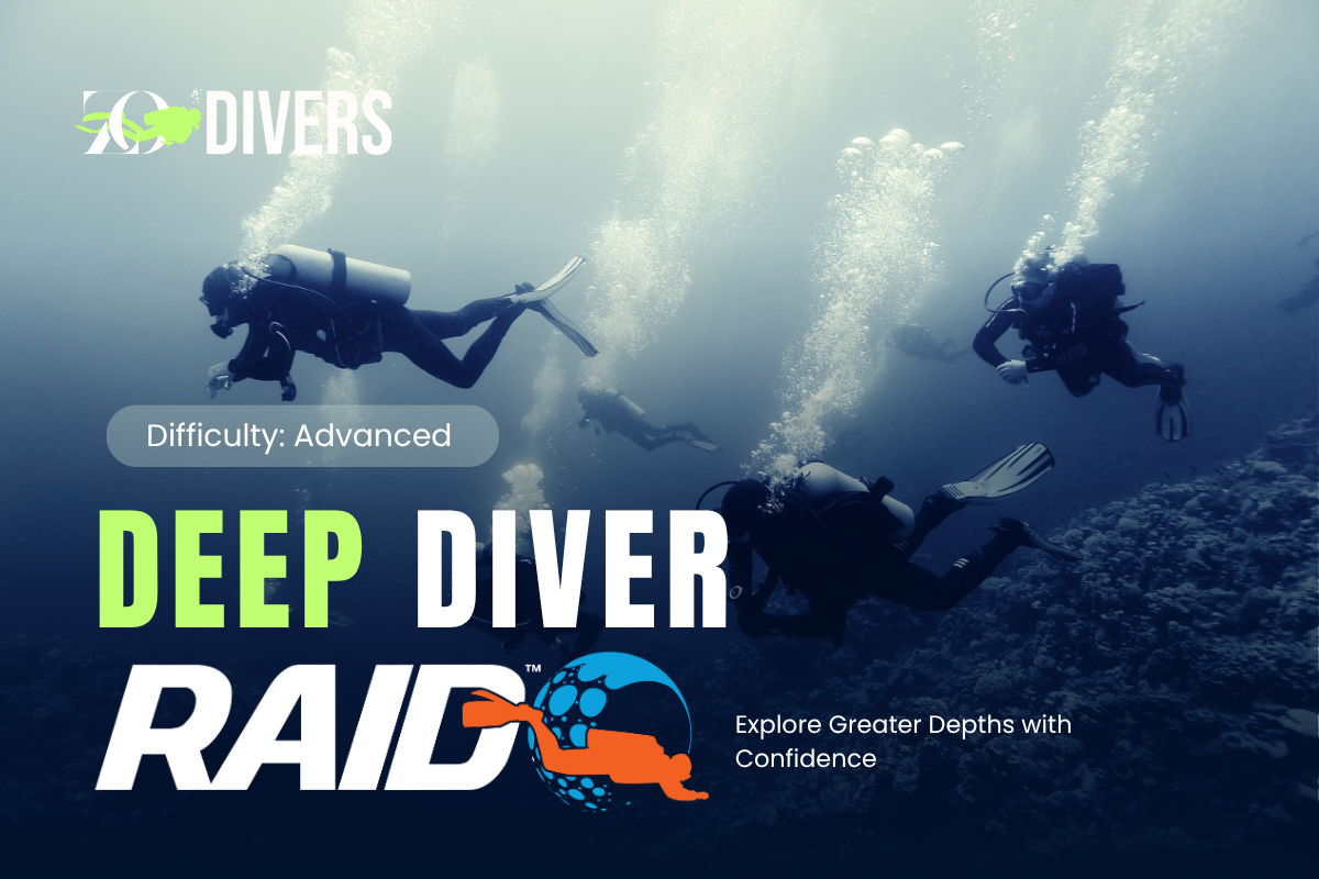 Deep Diver
