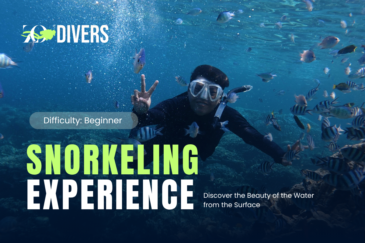 Snorkeling Experience